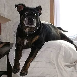 Meet your Posher, Laura